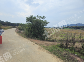 宜春高安市 300亩 水田 经营权出租