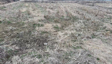 宜春高安市 200亩 水田 经营权出租