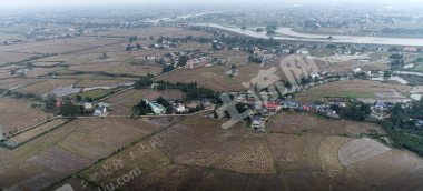 益阳赫山区 230.3亩 水田 经营权出租