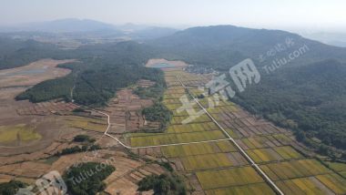 宜春高安市 500亩 水田 经营权出租