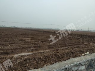 岳阳临湘市 1500亩 水田 经营权出租