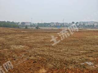 岳阳临湘市 450亩 水田 经营权出租