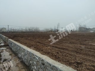 岳阳临湘市 1500亩 水田 经营权出租