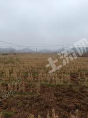 宜春高安市 100亩 水田 经营权出租