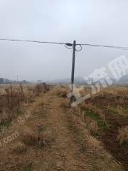 宜春高安市170.0亩水田经营权出租