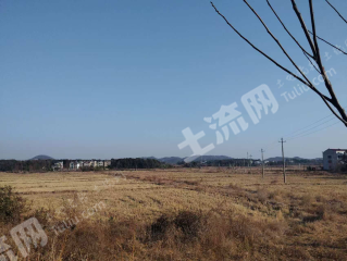 宜春高安市 310亩 水田 经营权出租