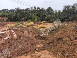 宜春高安市 15亩 旱地 经营权出租