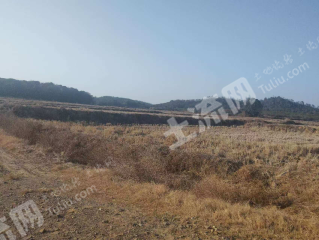 宜春高安市 230亩 水田 经营权出租