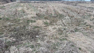 宜春高安市 70亩 水田 经营权出租