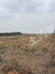 宜春高安市 140亩 水浇地 经营权出租