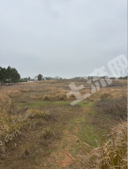 宜春高安市 140亩 水浇地 经营权出租