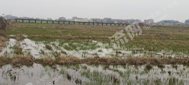 岳阳临湘市 1179.31亩 水田 经营权出租