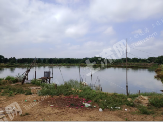 宜春高安市 20亩 水浇地 经营权出租