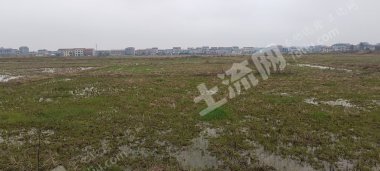 岳阳临湘市 1179.31亩 水田 经营权出租