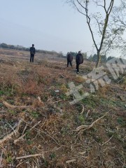 宜春高安市270.0亩水浇地经营权出租