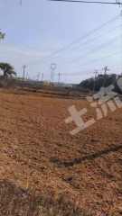 宜春高安市 57亩 水田 经营权出租