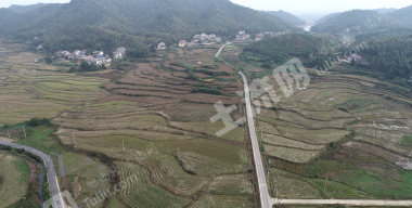 益阳赫山区 1155.14亩 水田 经营权出租