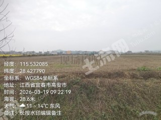 宜春高安市 1407亩 水田 经营权出租