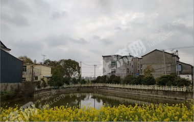 宜春高安市 0.7亩 坑塘水面 经营权出租