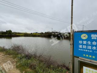 宜春高安市 3亩 坑塘水面 经营权出租