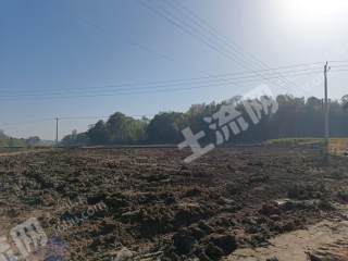 益阳桃江县 2298.79亩 水浇地 经营权出租