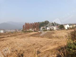 益阳桃江县 732.71亩 水浇地 经营权出租