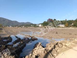 益阳桃江县 1252.91亩 水浇地 经营权出租