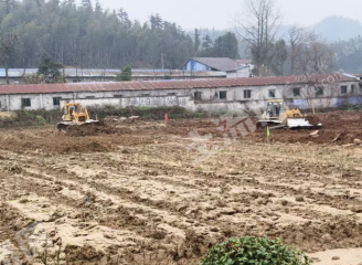 益阳桃江县 895.11亩 水浇地 经营权出租