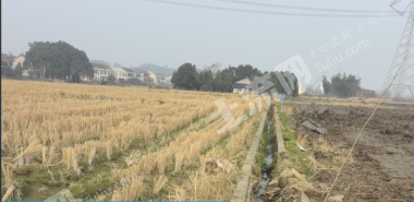 益阳桃江县 1013.53亩 水浇地 经营权出租