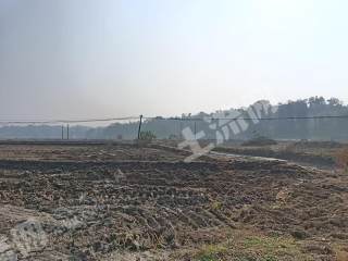 益阳桃江县 496.13亩 水浇地 经营权出租