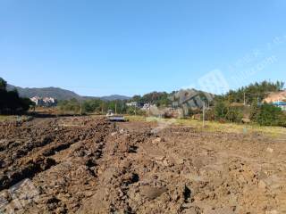 益阳桃江县 1664.37亩 水浇地 经营权出租