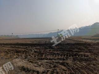 益阳桃江县 889.16亩 水浇地 经营权出租