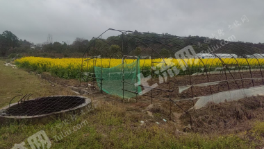 宜春高安市 39亩 水田 经营权出租