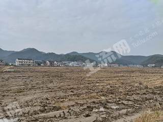 益阳桃江县 1409.01亩 水浇地 经营权出租