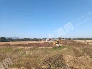 益阳桃江县 2268.34亩 水浇地 经营权出租