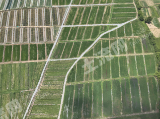 九江庐山市 301.6亩 水浇地 经营权出租