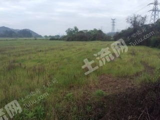 鹰潭贵溪市 9亩 水浇地 经营权出租