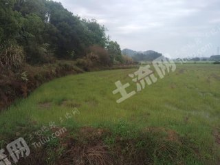 鹰潭贵溪市 9亩 水浇地 经营权出租