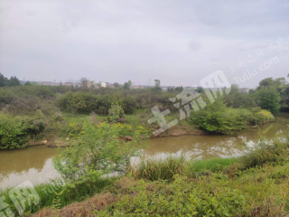 宜春高安市 30亩 果园 经营权出租