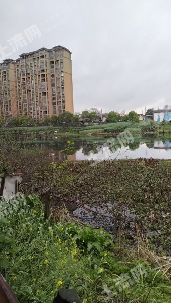 宜春高安市15.0亩坑塘水面经营权出租