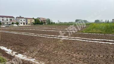 岳阳临湘市 1105.02亩 水田 经营权出租