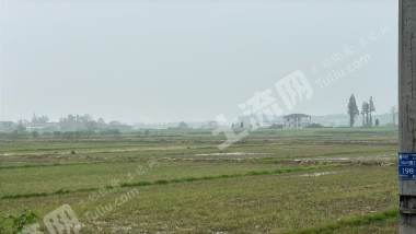 岳阳临湘市 1758.43亩 水田 经营权出租