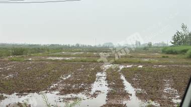 岳阳临湘市 1758.43亩 水田 经营权出租