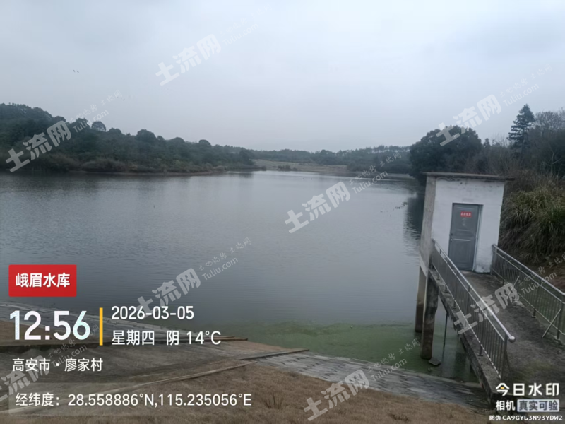 宜春高安市 40亩 水库水面 经营权出租