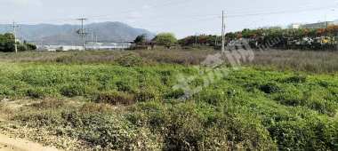玉溪峨山彝族自治县 32亩 水浇地 经营权出租