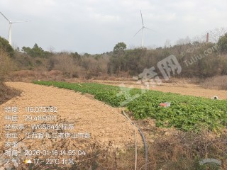 九江庐山市 22.39亩 旱地 经营权出租