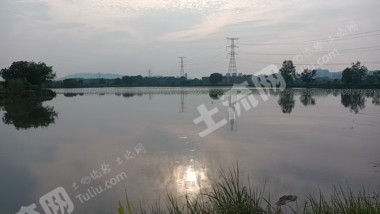 九江湖口县 94.3亩 坑塘水面 经营权出租