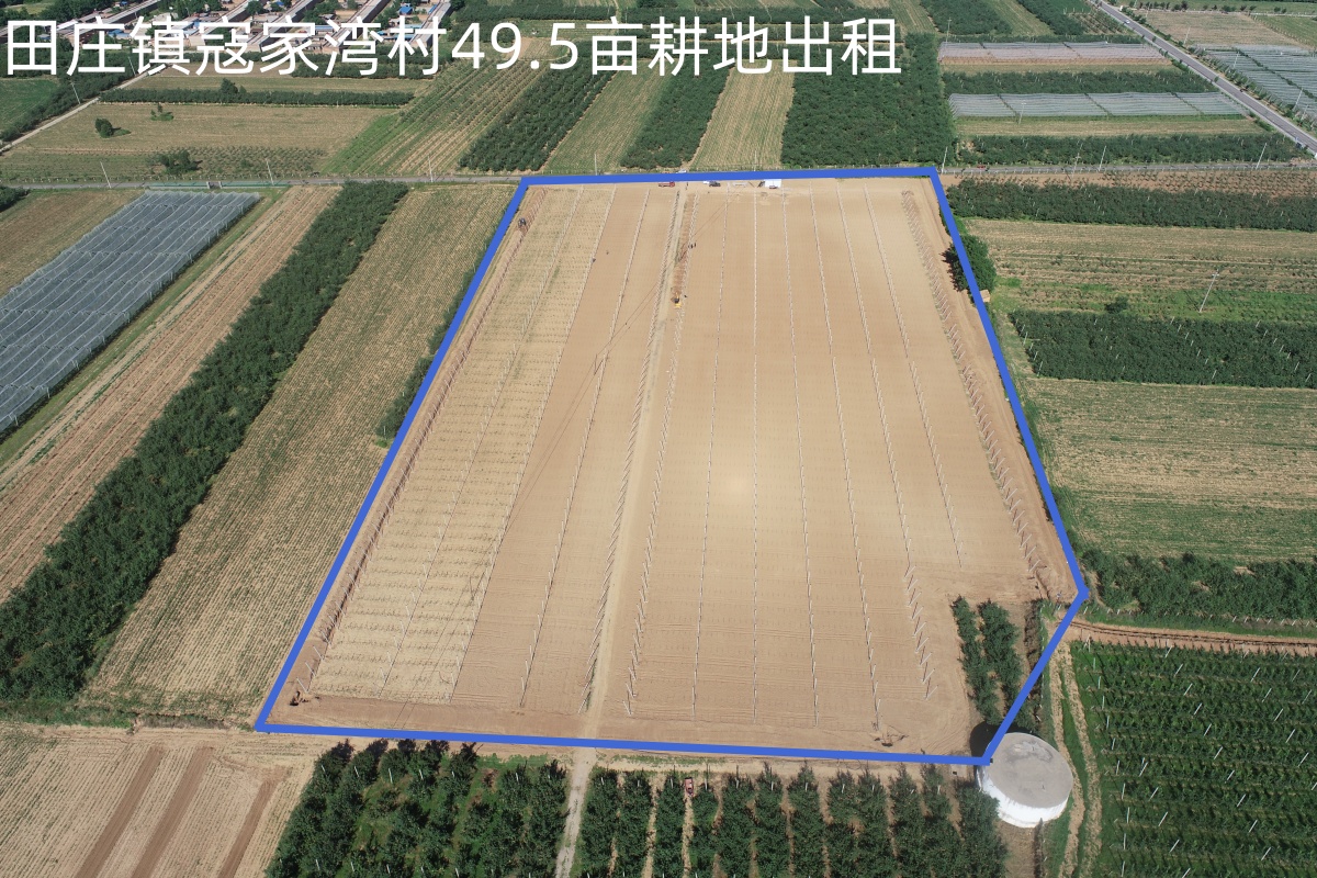 延安黄陵县 49.5亩 水浇地 经营权出租
