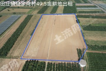 延安黄陵县 49.5亩 水浇地 经营权出租
