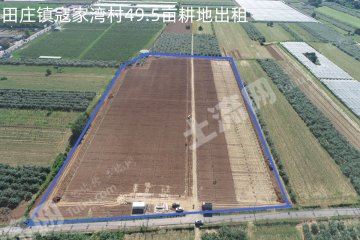 延安黄陵县 49.5亩 水浇地 经营权出租